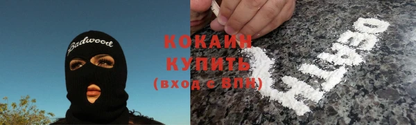 ECSTASY Богородск